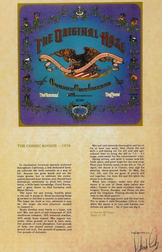 The True Origin of Haze - by Big Herb