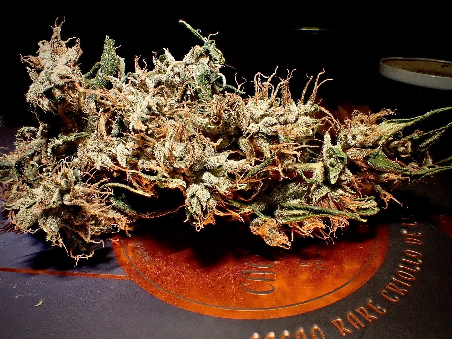 Manga Rosa Haze 🌈 🥭 🔥 🇧🇷